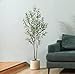 LOMANTO Artificial Olive Trees, 5 ft Tall Fake Olive Trees for Indoor, Faux Olive Silk Tree, Large Olive Plants with White Planter for Home Decor and Housewarming Gift, 1 Pack