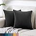 Skymico Terciopelo Fundas de Cojines Funda de Almohada del Sofá Throw Cojín Decoración Almohada de la Cubierta Adecuado para el hogar, decoración de Sala de Estar.2 Piezas 40 x 40 cm,Negro