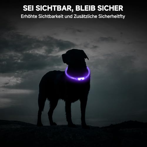 CoCoDonut LED Leuchthalsband Hund, USB aufladbar, Sicherheit bei Nacht – Ansicht 6