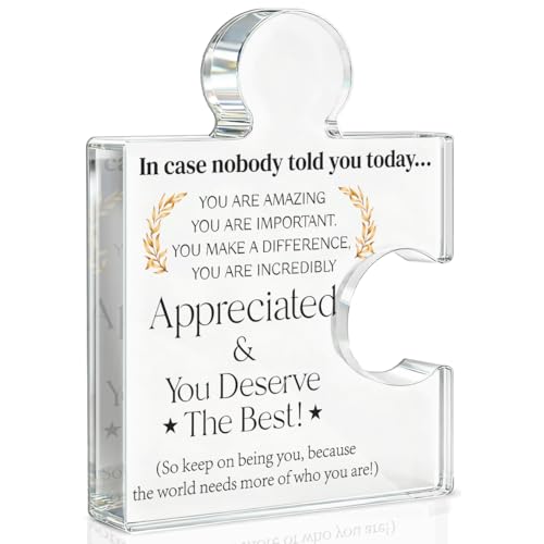 Regalos de agradecimiento para empleados, regalo de agradecimiento para compañeros de trabajo, colegas, empleados, en caso de que nadie te dijera hoy eres apreciado, placa de acrílico para decoración