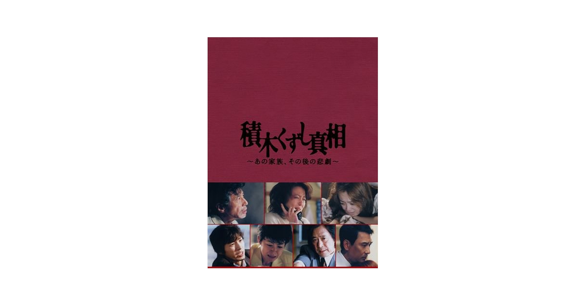 積木くずし真相～あの家族,その後の悲劇～〈2枚組〉 worldreikodo_s20220803-0118