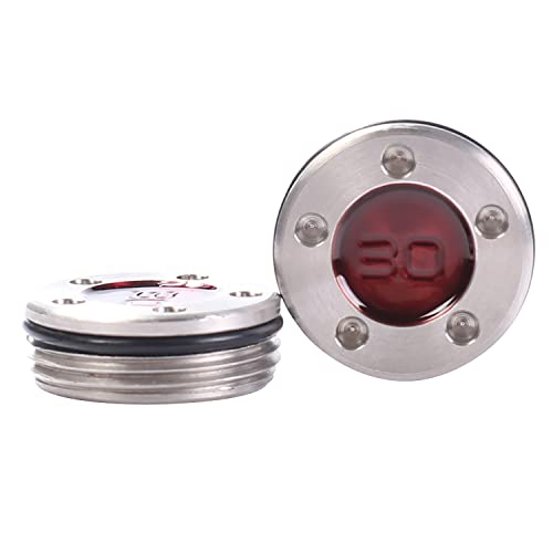 SummerHouse Custom Putter Weights 【 5g, 10g, 15g, 20g, 25g, 30g, 35g, 40g 】 for Scotty Cameron Select Newport Studio Design California GoLo Futura X Series Clubs Head (30)