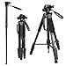 Produktbild Kamera Stativ-CAMBOFOTO 176.5cm/70 Dreibein-Stative/Einbeinstativ Aluminiumlegierung Stativ Kompakt Leichtes Stativ für DSLR SLR Canon Nikon Sony Panasonic Samsung und Tragetasche