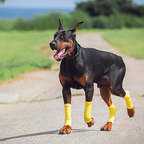 Fenteer 4 peças meias para animais de estimação antiderrapante capa de meias protetor de patas meias