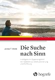 Die Suche nach Sinn: Intelligenz im Spannungsfeld von Idealismus, Desillusionierung und Hoffnung
