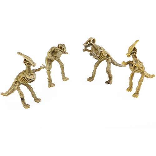 NUOBESTY 12 peças de dinossauro, fóssil, esqueleto de dinossauro, esqueleto de dinossauro, figuras d