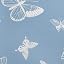 Blue (Butterfly)