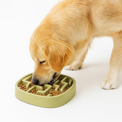 Image of Slow Feeder Bowl | Square Maze Food Bowl for Dogs and Cats | Anti Choking Puzzle Bowl | Anti Slip Interactive Feeding Dish | Durable & Easy to Clean | Anti Bloat and Aids Digestion (Green)