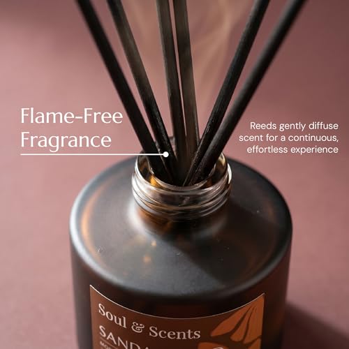 Image of Soul & Scents 120ml Reed Diffuser Set Sandalwood | Long Lasting Home Air Freshener | 6 Fiber Sticks | Gifting | Fragrance for Bedroom Bathroom Living Room | Aromatherapy Relaxing Soothing Aroma