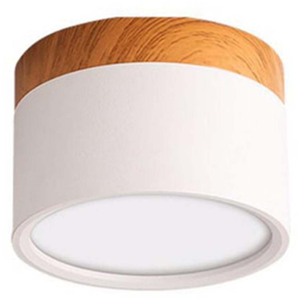 UDSKNV[KSL for Indoor Foyer,Living Room LED Downlight Mounted Ceiling Nordic Spot Light White