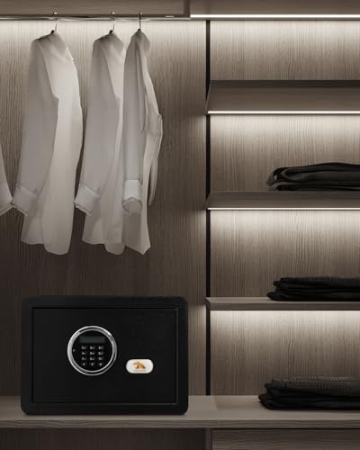 Tigerking safe for cash jewelry and documents