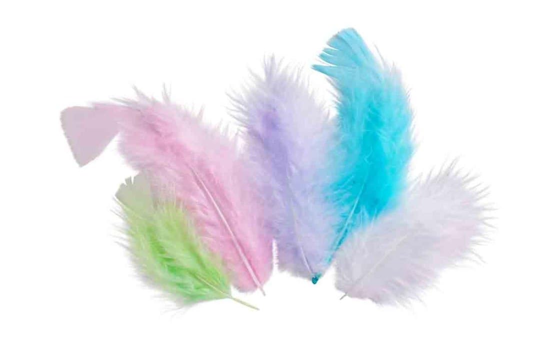 Lot De 50 Plumes Multicolores MegaCrea - 10cm - DIY Déco Artisanat
