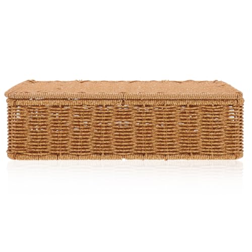 STAHAD Cesta de Almacenamiento Estrecha Tapa para Escritorio, Caja Tejida Color Café Claro para Guardar Objetos Pequeños en Oficina y Hogar