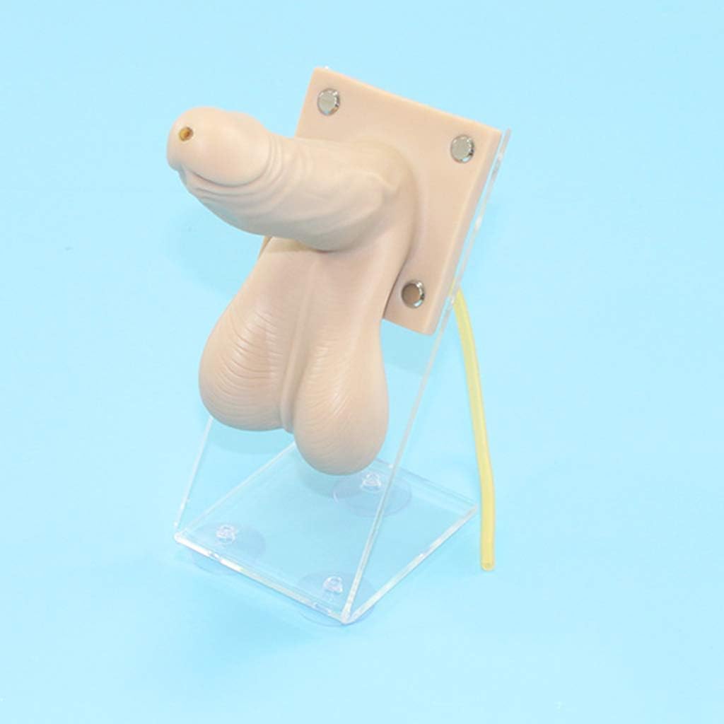 DKULMN Teaching Model Male Contraceptive Guidance Model,Condom Practice Model,Contraceptive Train Model,PVC Material High Simulation Condom Practice Model for School Student