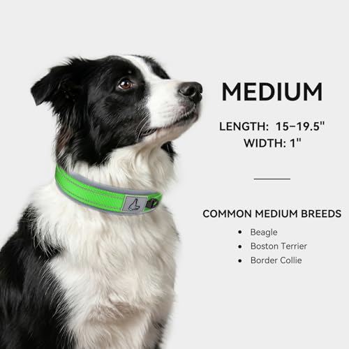 Image of Joytale Dog Collar for Medium Dogs, Neoprene Padded and Adjustable, Reflective Wide Heavy Duty Pet Collars with Durable Metal Belt Buckle for Walking, Green, M