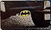 PLASTICOLOR 002209R01 Warner Brothers Warner. Bros Batman Hitch Cover, 1 Pack