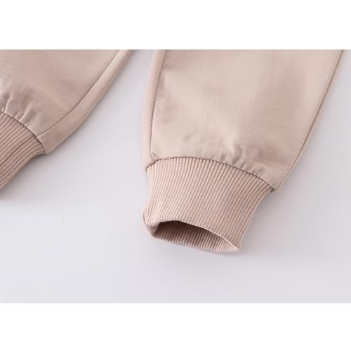 Image of Little Boys Jogger Pants Toddler Boys' Drawstring Elastic Waist Cotton Casual Sweatpants 1PC / 2 PCS Set