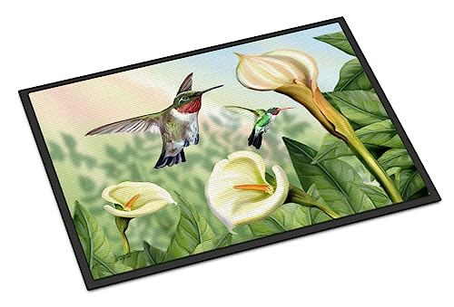 Caroline's Treasures PTW2058MAT Lily and The Hummingbirds Doormat 18x27 Front Door Mat Indoor Outdoor Rugs for Entryway, Non Slip Washable Low Pile, 18H X 27W
