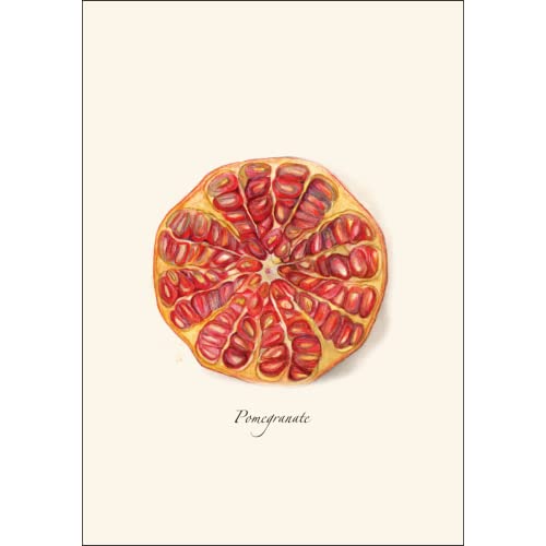 Image of Earth Sky + Water - Pomegranate Assortment Notecard Set - 8 Blank Cards with Envelopes (4 each of 2 styles)