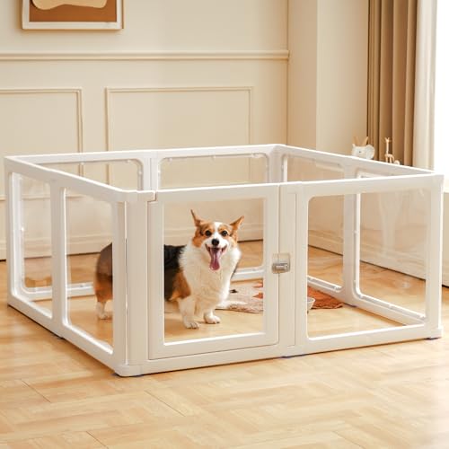 Citylife 8-TLG Welpenauslauf 60cm hoch, Hundelaufstall faltbar mit Tür, Hundegehege Wohnung, XXL Laufgitter für Hunde, Katzen, Kaninchen, Kleintiere, rutschfest, Transparent,120LX120WX60HCM