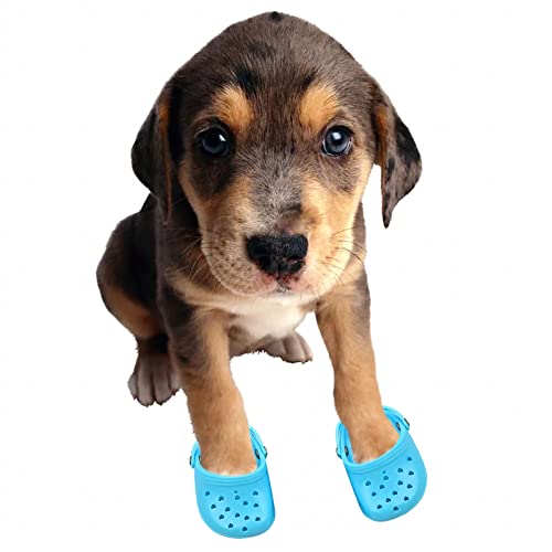 Dog Sandals, 8 Colors Optional, Puppy Shoes Crocs, Pet Sandals For Small Dogs, Pet Lovely Shoes For Taking Photos, Cat Shoes For Summer Blue #TOP1