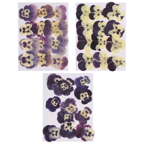 Flores secas prensadas para manualidades 36 pcs miniatura 1