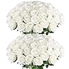Hananona Artificial Roses in Bulk, ...