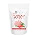 Wilson Naturals Organic Acerola Powder (Non-GMO) – Vitamin C Powder with Immune Factors Made from Wholefood Acerola Cherry. No Additives and Natural Minerals and Citrus Acid 114 Grams (28 Servings)