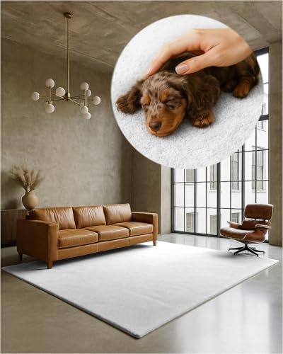 TEXMAXX Weicher Kurzflor Teppich Wohnzimmer mit rutschhemmender Rückseite (80 x 150 cm) - Modern für Flur, Esszimmer und als Schlafzimmer Teppich in Weiß - Waschbar bis 30 Grad