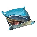 ❤Matériau en cuir PVC de qualité supérieure : fabriqué à partir de cuir PVC double face de qualité supérieure, ce plateau offre durabilité et résistance aux rayures. Il est également imperméable et facile à nettoyer, ce qui le rend adapté à une utilisation quotidienne dans divers environnements. Vous offre un espace de stockage supplémentaire et vous aide à éliminer l'encombrement. C'est également une excellente décoration de bureau.