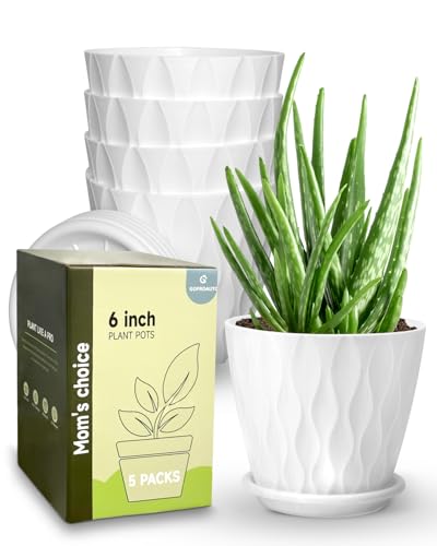 Goproauto 6 Inch Indoor Planter Pots With Drainage Hole And Tray Saucer