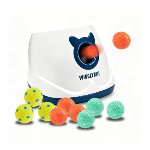 WIGGLYTAIL, Automatic Ball Launcher for Dogs