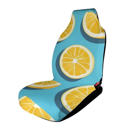 Protection de siège de voiture universelle élastique pour camionnette et SUV
