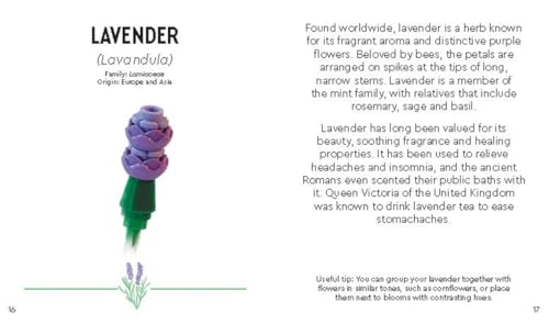 Image of LEGO Botanicals: Tiny Wildflower Bouquet