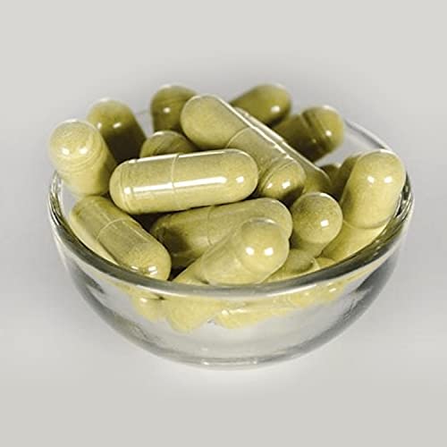 Swanson Olive Leaf Extract Capsules With 20% Oleuropein - (120 Capsules, 500Mg Each) 2 Bottles #TOP1