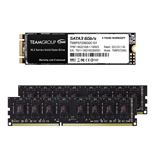 TEAMGROUP MS30 256GB TLC M.2 2280 SATA III SSD Read/Write 500/400 MB/s TM8PS7256G0C101 Bundle with Elite UDIMM DDR3 16GB - Detailed View