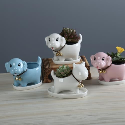 Pot de fleurs d'intérieur en céramique bleu pour plante grasse et bureau - 4