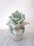 capodimonte porcelana precios  Piantina de porcelana Capodimonte – Visconti -