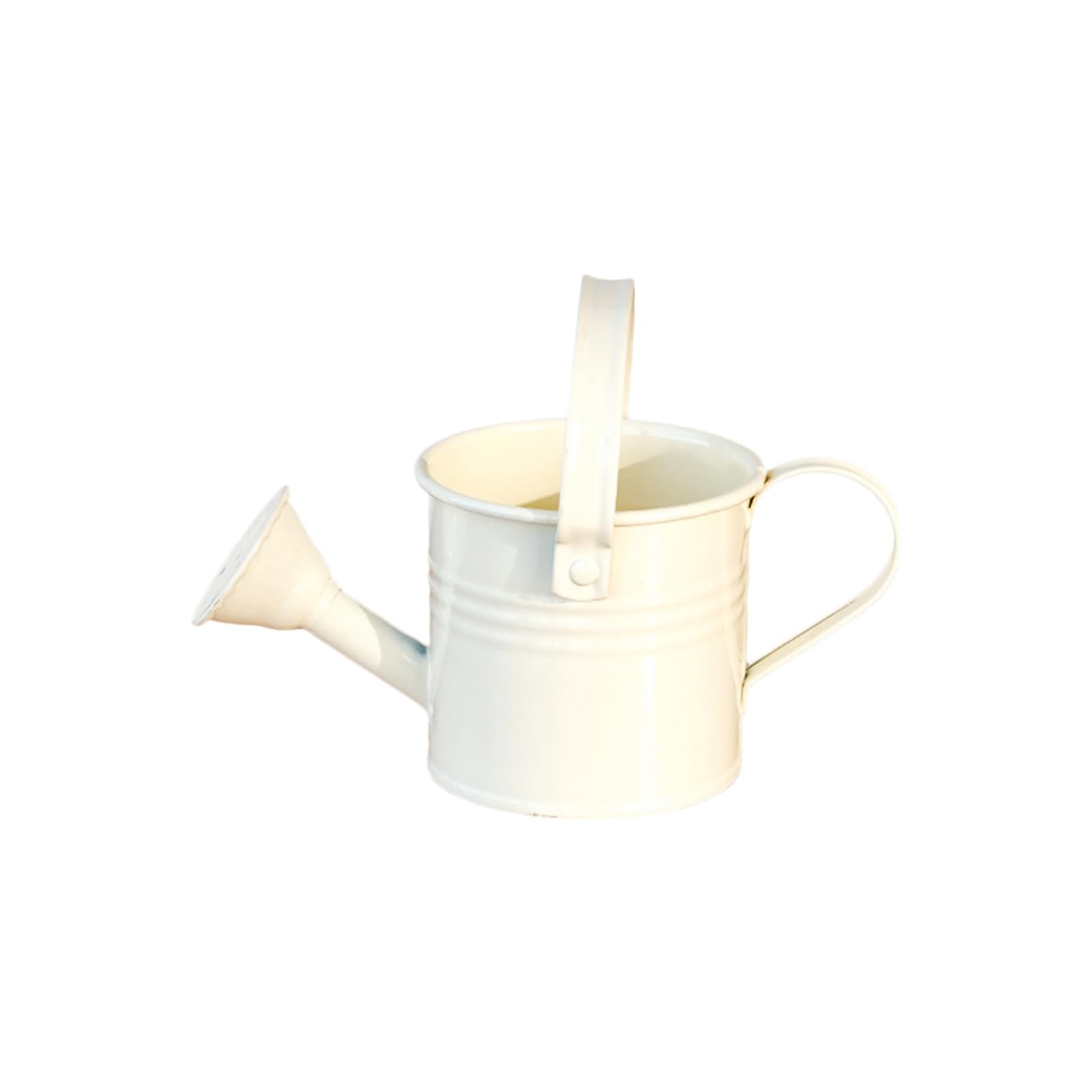 Multipurpose Lightweight Watering Can Featuring Fine Sprays and for Various Tasks Garden Irrigation Sprayer