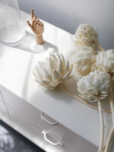 Flores Secas White Shakyamuni para Decoración miniatura 5