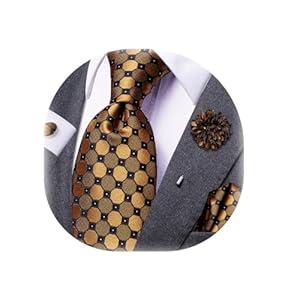 Dubulle Paisley Tie and Lapel Pin for Men Mens Paisley Stripe Floral Necktie Pocket Square Cufflinks Wedding Party