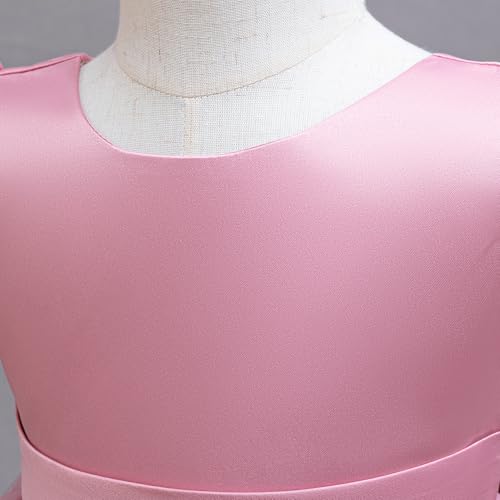 HNXDYY Flower Girl Dress Girl Tutu Birthday Party Dress Princess Wedding Formal Pegeant Gown4