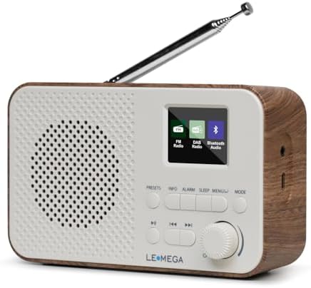 Mycket DAB Radio Portable, DAB Plus Digital Radios with Bluetooth, USB ...