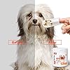 Dog-Eye-Wipes-Tear-Stain-Remover-for-Dogs-and-Cats-Finger-Eye-Wash-Pads-for-Pets-100-Count-Dog-Eye-Cleaning-Wipes-Unscented-Gentle-Pet-Tear-Wipe-Removes-Dirt-and-Discharge Dog Eye Wipes - Tear Stain Remover for Dogs and Cats | Gentle & Unscented