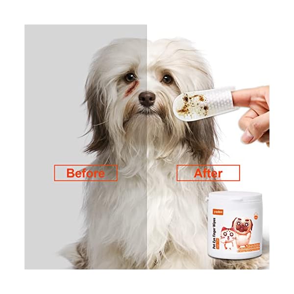 Dog-Eye-Wipes-Tear-Stain-Remover-for-Dogs-and-Cats-Finger-Eye-Wash-Pads-for-Pets-100-Count-Dog-Eye-Cleaning-Wipes-Unscented-Gentle-Pet-Tear-Wipe-Removes-Dirt-and-Discharge Dog Eye Wipes - Tear Stain Remover for Dogs and Cats | Gentle & Unscented