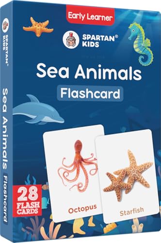 Image of SPARTAN KIDS Sea Animals Flash Cards for Kids Cognitive Skills | 27 Early Learning Flash Cards Easy & Fun Way of Learning 1 Year to 6 Years Babies