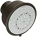 Relexa Rustic 100 5-Spray Showerhead