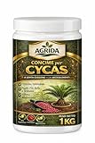 Concime Professionale per Cycas 1KG – Fertilizzante Granulare a Lenta Cessione con Microelementi – Nutrizione Completa per Foglie Forti, Verdi e Brillanti – Formula Premium ad Alta Performance – Confe
