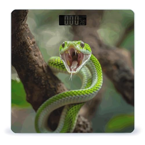 Báscula digital con vidrio templado y pantalla LCD miniatura 1