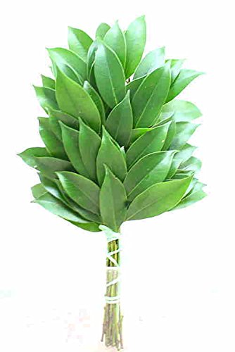 TJLi{j Y 1 ̔ _I₨חlɂ